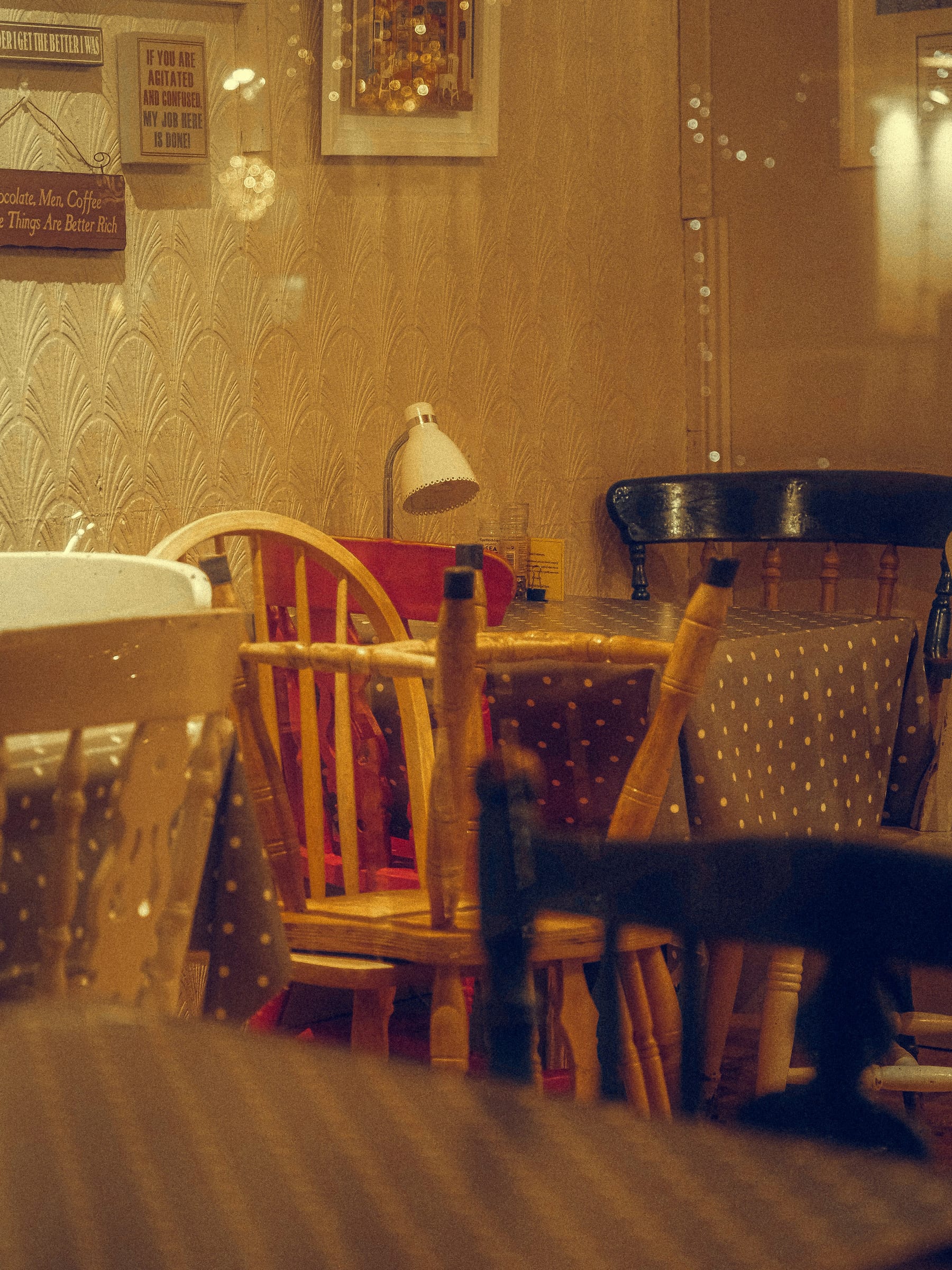 Empty wooden tables and bentwood chairs in a softly lit café